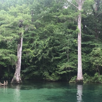 Ponce de Leon Springs State Park - Parks Near Me - Ponce De Leon, Florida Ponce de Leon Springs State Park - Parks Near Me - Ponce De Leon, Florida