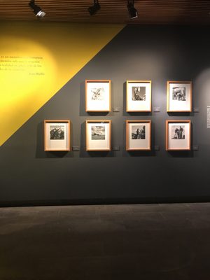 Cineteca Nacional de México by null
