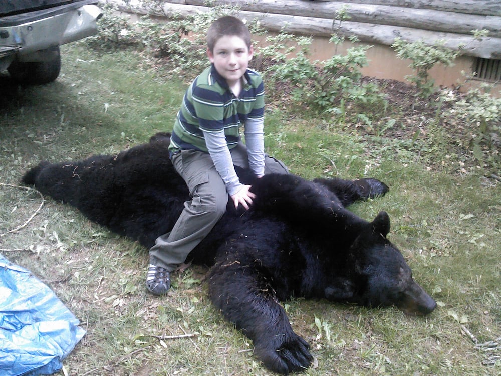 Presgraves Taxidermy - taxidermy in Luray, VA