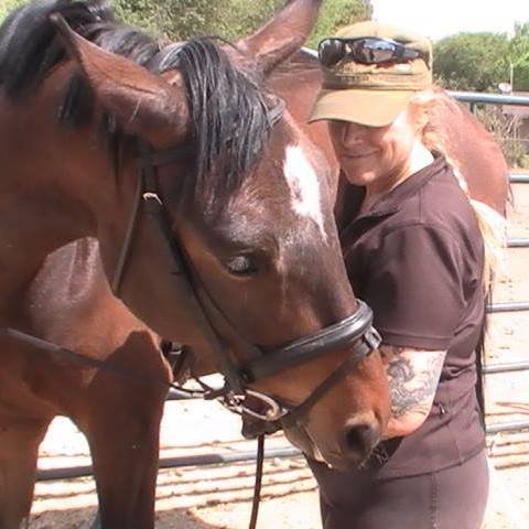 Camino Real Farm - equestrian in Albuquerque, NM