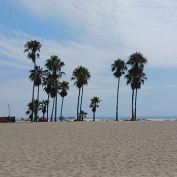 Venice Statepark - Beaches Near Me - Venice, California