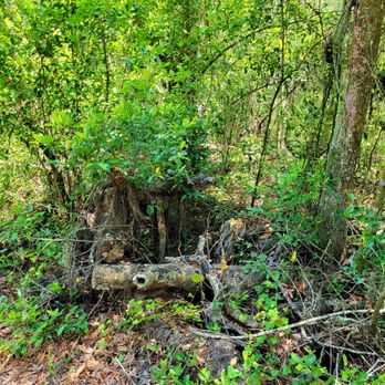 Lake Rogers Park - May 2022 - Hiking Near Me - Odessa, Florida