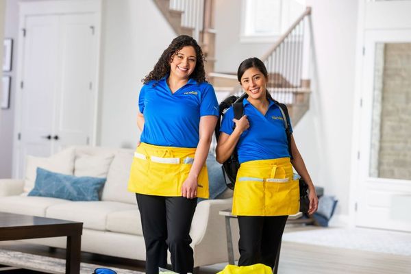 The Maids in Boston by null