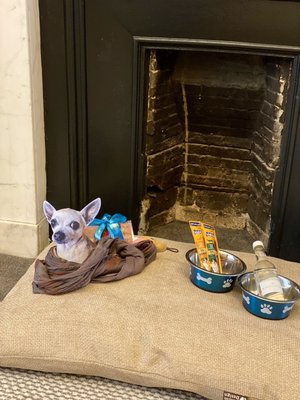 Kimpton Charlotte Square Hotel by null