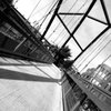 The 606 - Bloomingdale Trail gift card