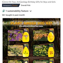 Last Chance Store - Torrance - Plant amber dig kit $1