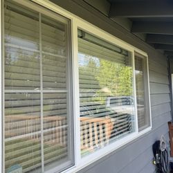 Wonderboy Window Services - Main window sparkling clean!