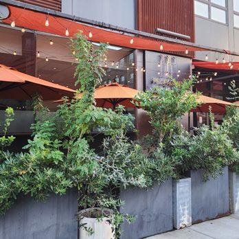 Propaganda Wine Bar - Outdoor area - Wine Bars Near Me - Los Angeles, California Propaganda Wine Bar - Outdoor area - Wine Bars Near Me - Los Angeles, California