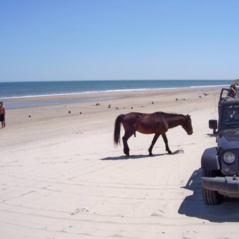 Corolla Jeep Adventures - Too close for comfort - Tours Near Me - Corolla, North Carolina Corolla Jeep Adventures - Too close for comfort - Tours Near Me - Corolla, North Carolina