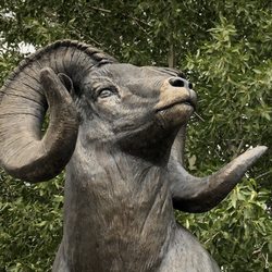 National Bighorn Sheep Center - Outdoor sculpture
