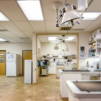 Cornerstone Animal Clinic - Our treatment and dental areas - Veterinarians Near Me - Dallas, Texas Cornerstone Animal Clinic - Our treatment and dental areas - Veterinarians Near Me - Dallas, Texas