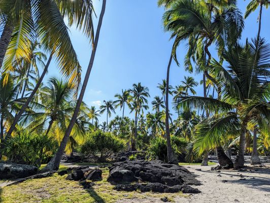 Pu'uhonua O Honaunau National Historical Park by null