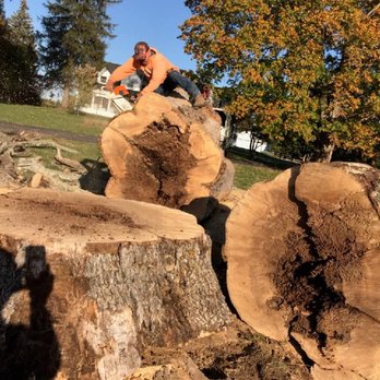 Sanchez Tree Service - Tree Services Near Me - Shelbyville, Kentucky Sanchez Tree Service - Tree Services Near Me - Shelbyville, Kentucky