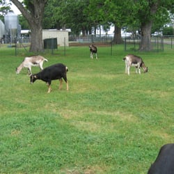 R & C Dairy