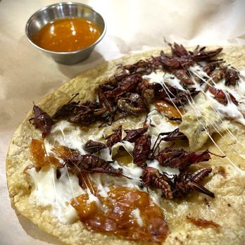 Komal - Quesadilla de Chapulines - Mexican Near Me - Los Angeles, California Komal - Quesadilla de Chapulines - Mexican Near Me - Los Angeles, California