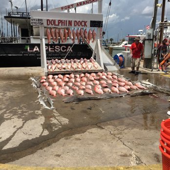 Dolphin Dock - Fishing Near Me - Port Aransas, Texas