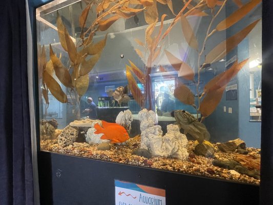 Central Coast Aquarium by null