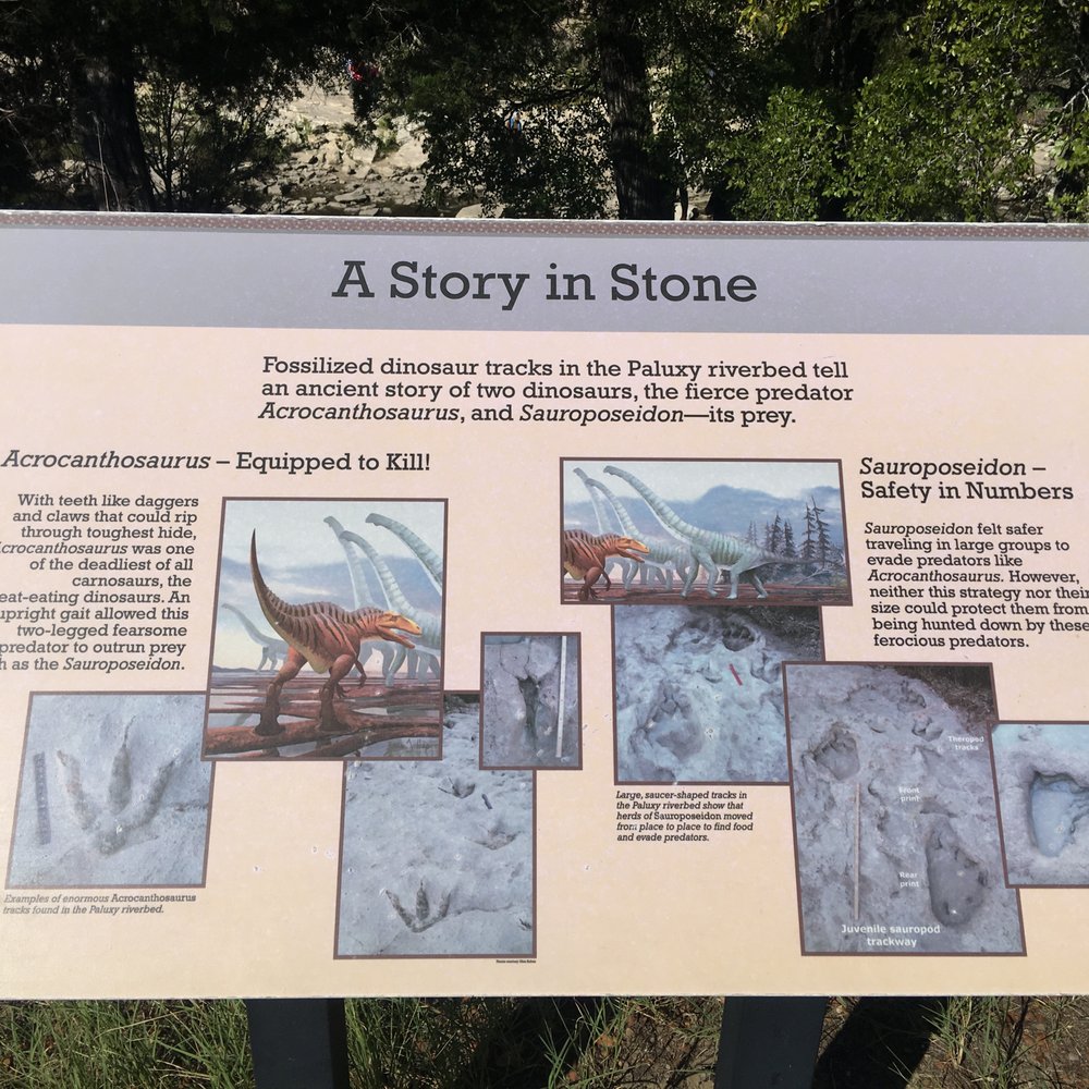 Dinosaur Valley State Park - Parks Near Me - Glen Rose, Texas