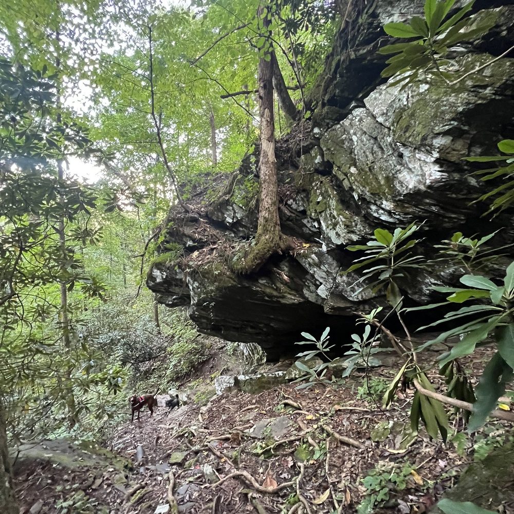 Enota - Campgrounds Near Me - Hiawassee, Georgia