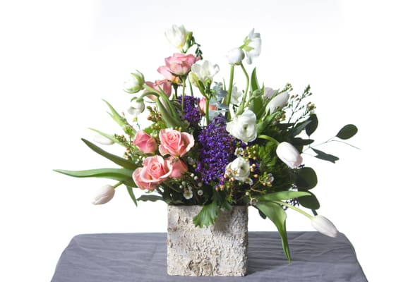 Gia and the Blooms -OTR by null