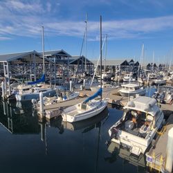 Port of Edmonds Marina - Marina with cover over boats