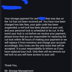 Mr Storage