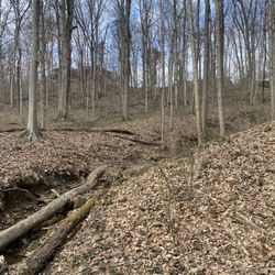 Blue Trail