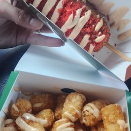 Moon tots and hot cheetos motz dog