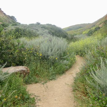 Forrestal Ecological Reserve - Hiking Near Me - Rancho Palos Verdes, California