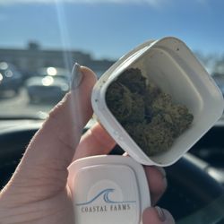 RISE Dispensaries Warwick - Comfortably Dumb - Coastal Farms