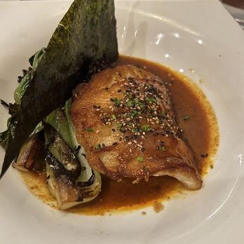 Fins At Sharky's - Sea bass was awesome - Steakhouses Near Me - Venice, Florida Fins At Sharky's - Sea bass was awesome - Steakhouses Near Me - Venice, Florida