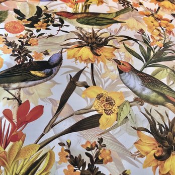 Ever Andalo - Purty Birdy Wallpaper - Italian Near Me - Charlotte, North Carolina