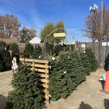 The Secret Garden - The freshest Christmas trees at competitive prices. - Nurseries & Gardening Near Me - Elk Grove, California The Secret Garden - The freshest Christmas trees at competitive prices. - Nurseries & Gardening Near Me - Elk Grove, California