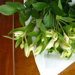 Amanda 4 Flowerz - $14