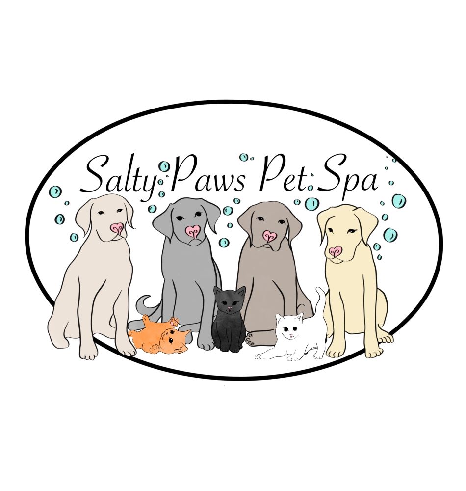 SALTY PAWS PET SPA Updated May 2024 17 Photos 400 Virginia Ave