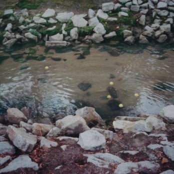 TIMROD PARK - Updated November 2025 - 22 Photos - 400 State Rd S-21-234 ...