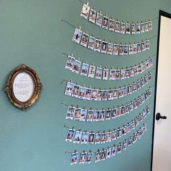 Le Pawsh - Their Polaroid wall of doggies - Pet Groomers Near Me - Fremont, California Le Pawsh - Their Polaroid wall of doggies - Pet Groomers Near Me - Fremont, California