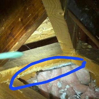 Attic Kings, Animal Removal & Exclusion - Chew marks - Pest Control Near Me - Norcross, Georgia