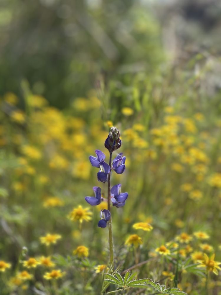 DIAMOND VALLEY LAKE VISITOR CENTER Updated April 2024 454 Photos