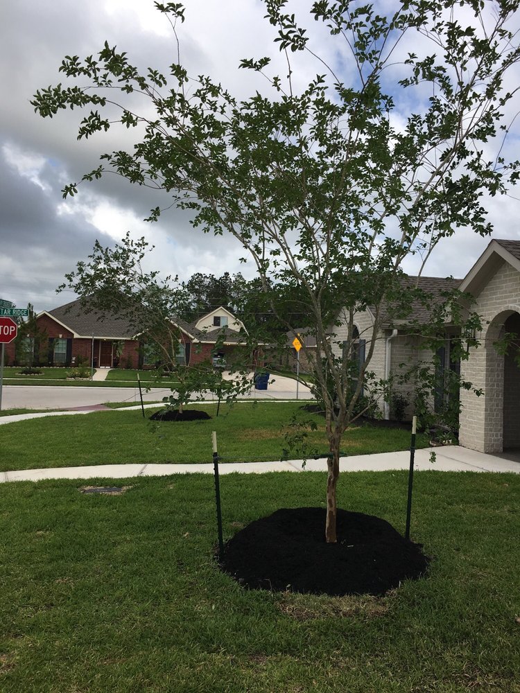 BROOKSIDE NURSERY Updated September 2024 13 Photos 12700 Mykawa