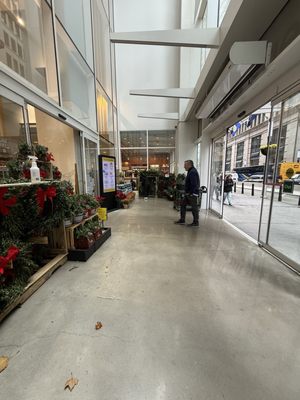 Whole Foods Market by null