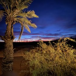Borrego Springs Resort - Morning sunrise