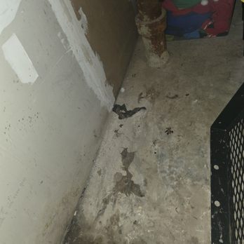 FIRST ONSITE Property Restoration - Mold growth and remains of raw sewage waste - Damage Restoration Near Me - New York, New York FIRST ONSITE Property Restoration - Mold growth and remains of raw sewage waste - Damage Restoration Near Me - New York, New York