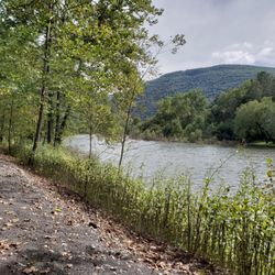 Pine Creek Rail Trail