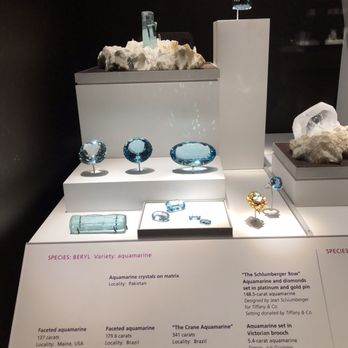 Field Museum - Museums Near Me - Chicago, Illinois Field Museum - Museums Near Me - Chicago, Illinois