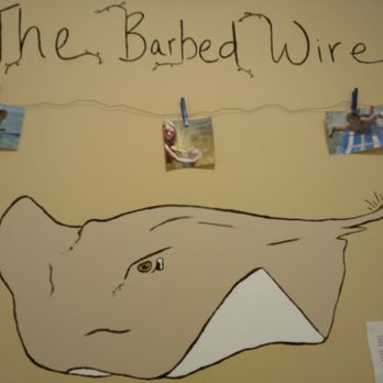 Sanibel Sea School - Educational Services Near Me - Sanibel, Florida