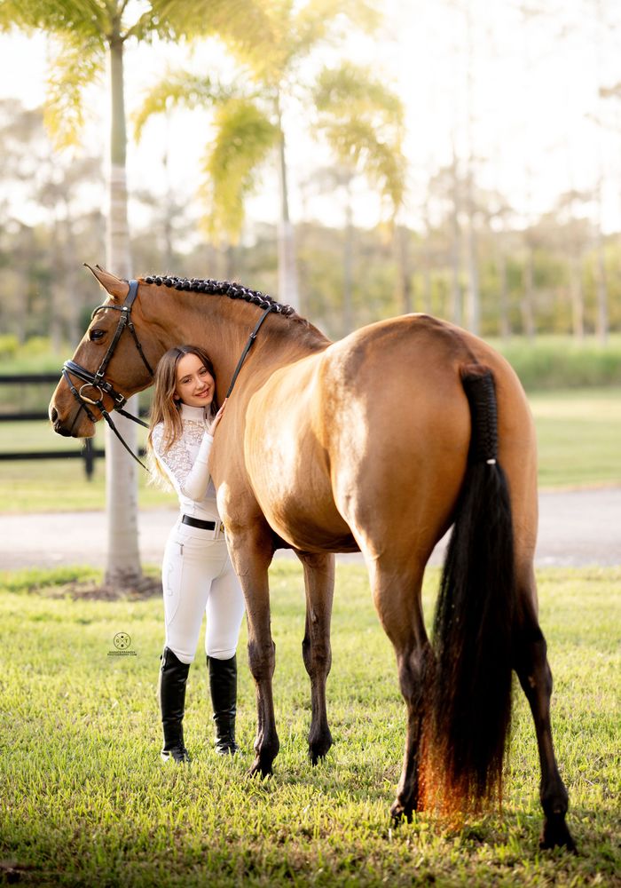 Sons of the Wind Farm - Lusitano Farm - equestrian in Merrimac, MA