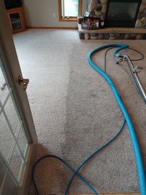 Mojo's Carpet & Upholstery Cleaning