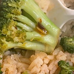 Rakuu - Maggot on broccoli