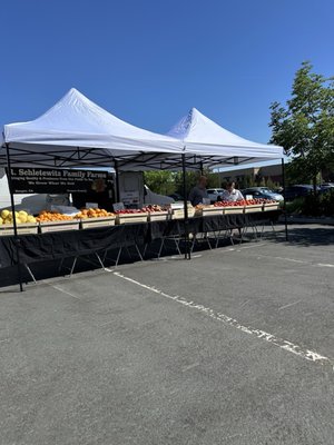 Tamarack Junction Farmers Market by null